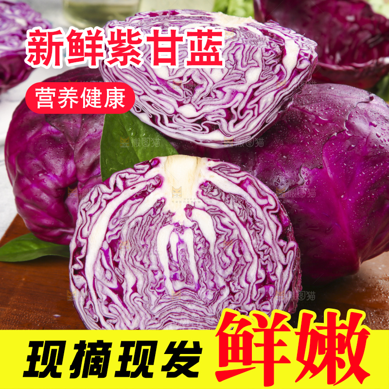 浅底上的紫甘蓝