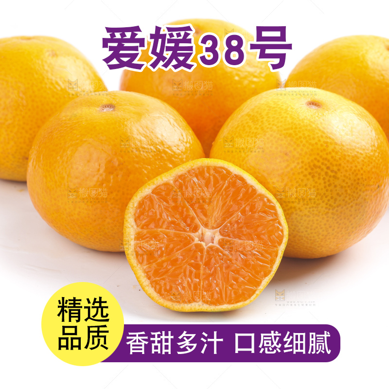 白底上的爱媛果冻橙
