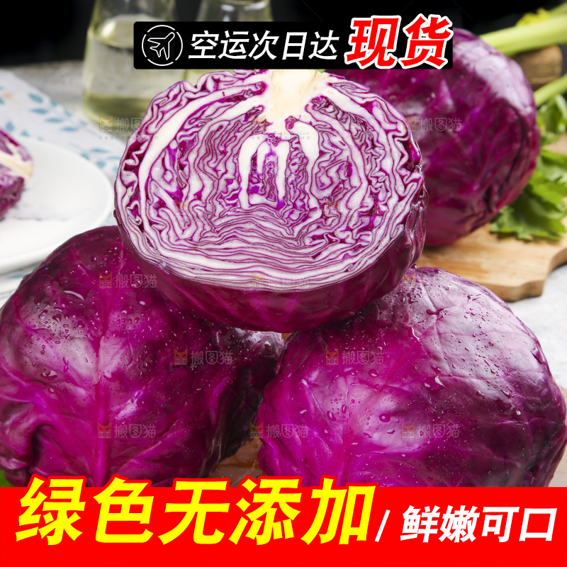 浅底上的紫甘蓝