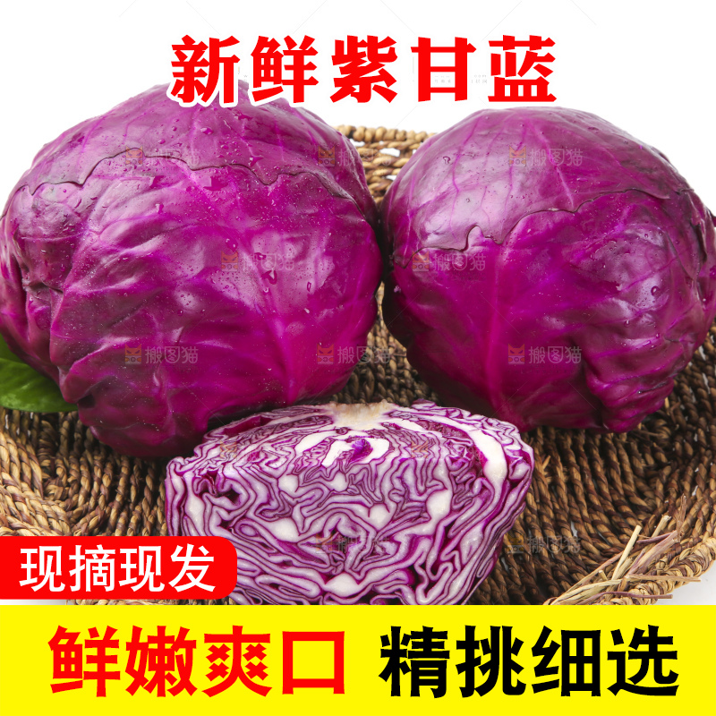 白底上的紫甘蓝
