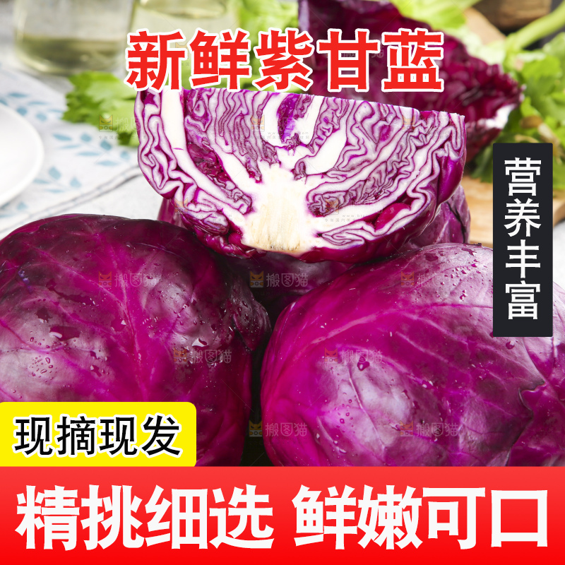 浅底上的紫甘蓝