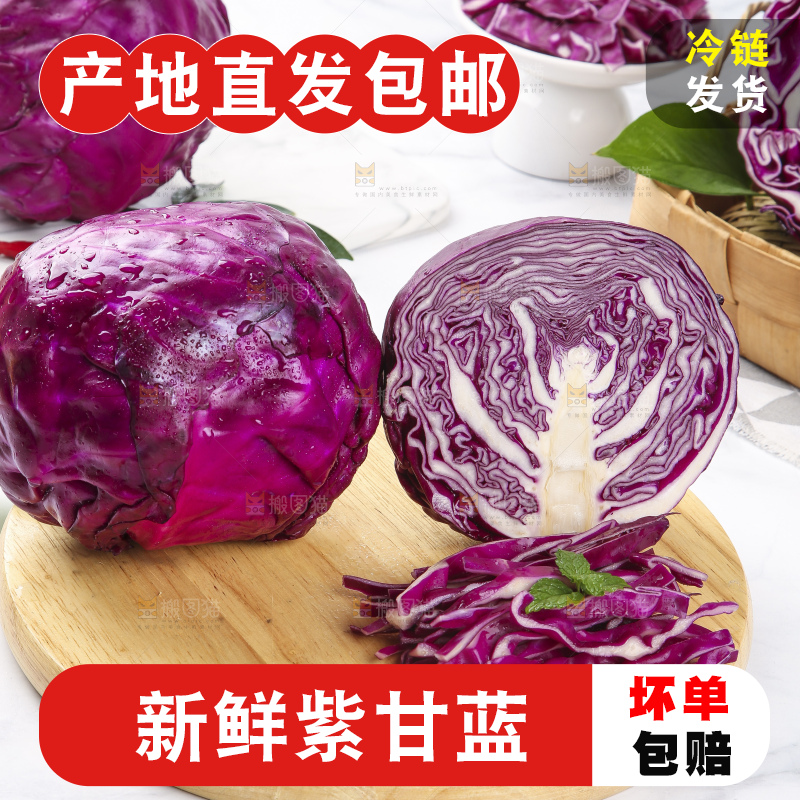 浅底上的紫甘蓝