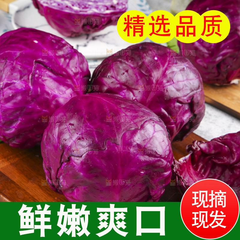 浅底上的紫甘蓝