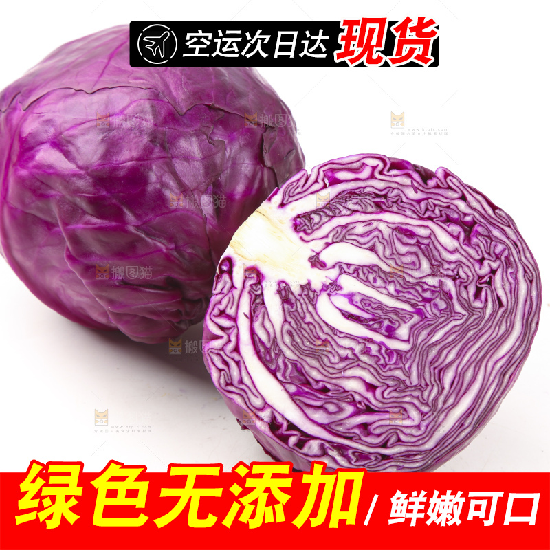 白底上的紫甘蓝