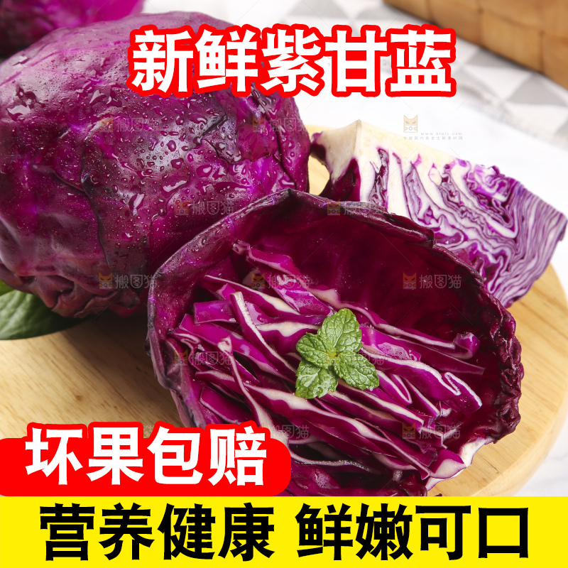 浅底上的紫甘蓝