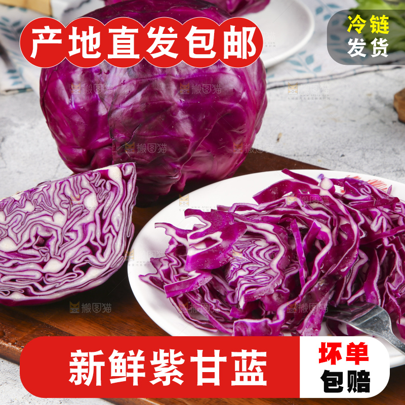 浅底上的紫甘蓝