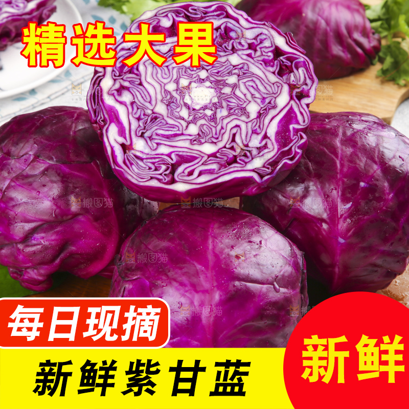 浅底上的紫甘蓝