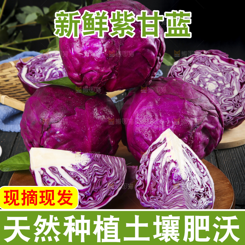 深底上的紫甘蓝