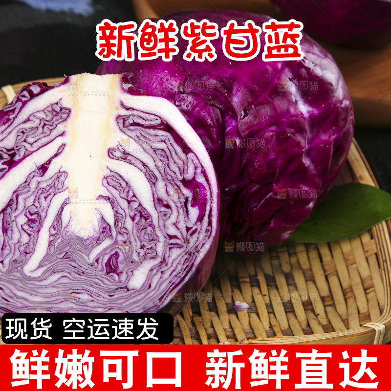 深底上的紫甘蓝