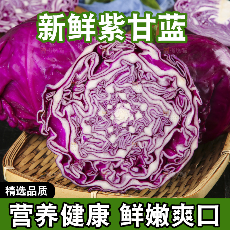深底上的紫甘蓝