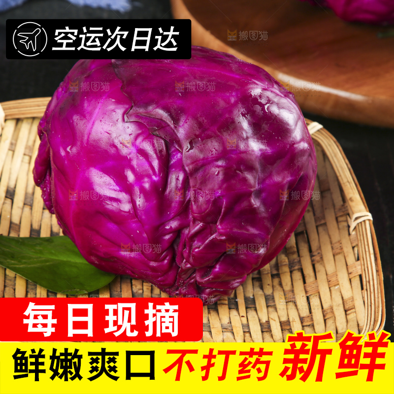 深底上的紫甘蓝