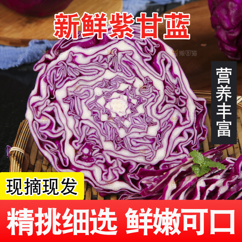 深底上的紫甘蓝