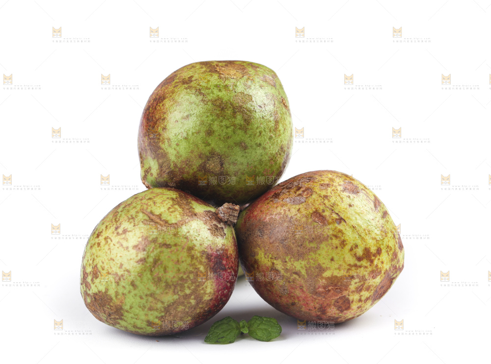 白底上的茶籽