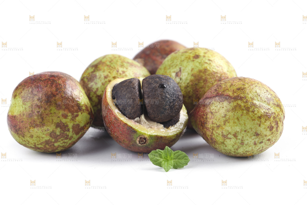 白底上的茶籽