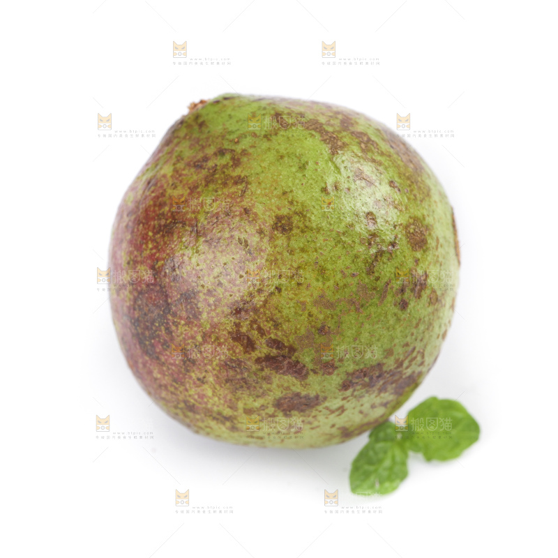 白底上的茶籽