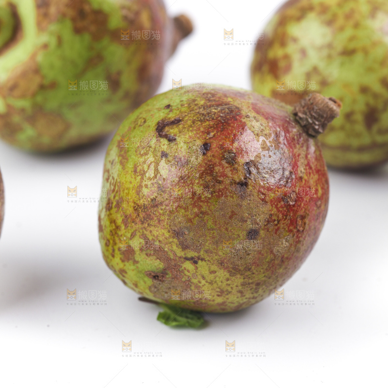 白底上的茶籽