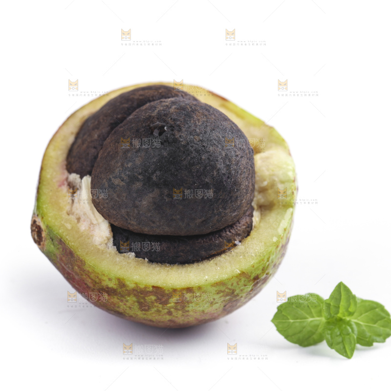 白底上的茶籽