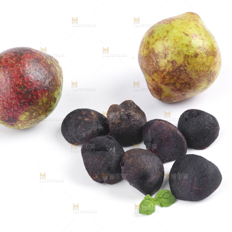 白底上的茶籽