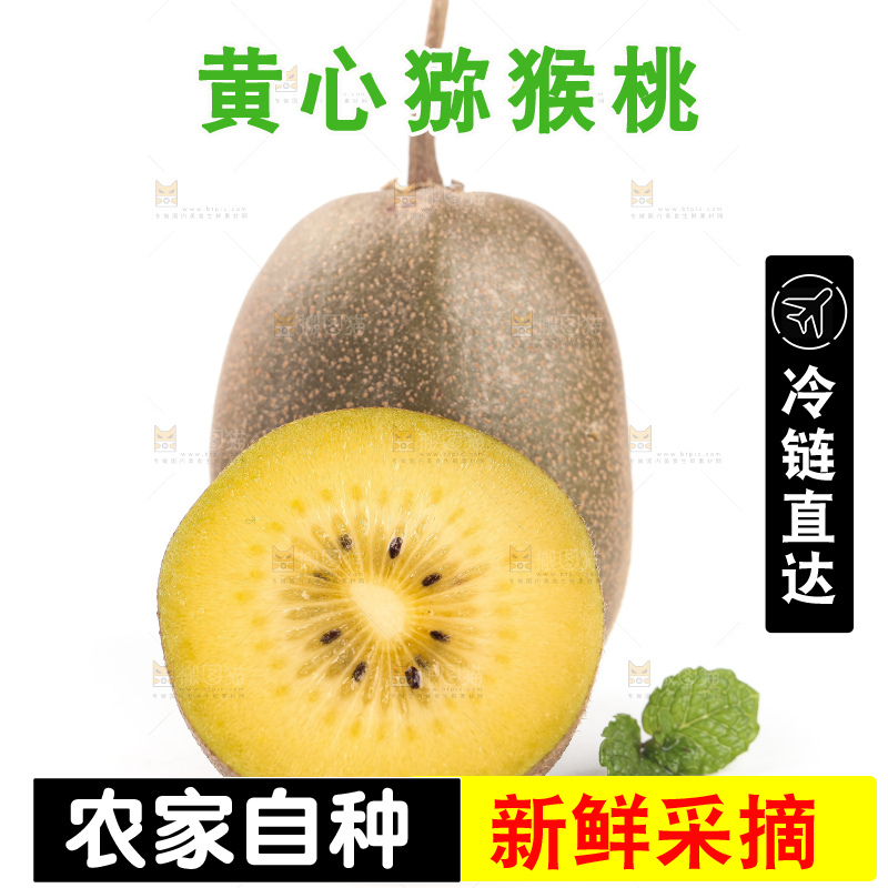 白底上的黄心猕猴桃