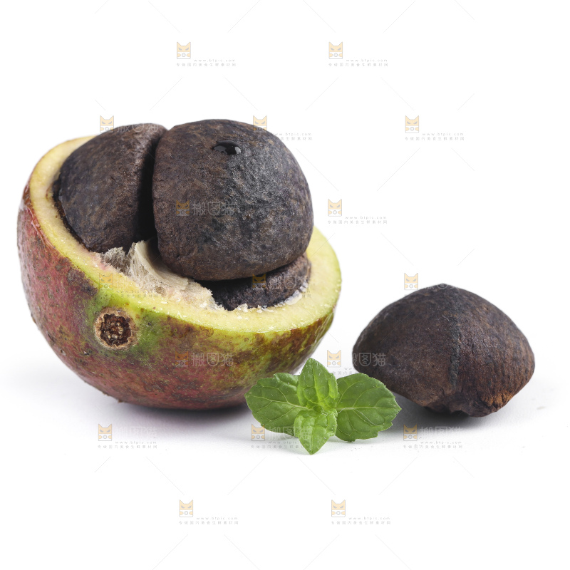 白底上的茶籽