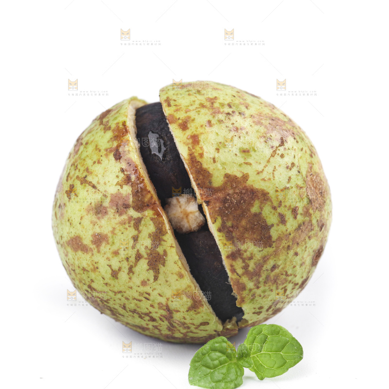 白底上的茶籽