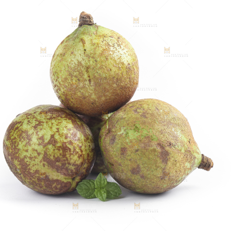 白底上的茶籽