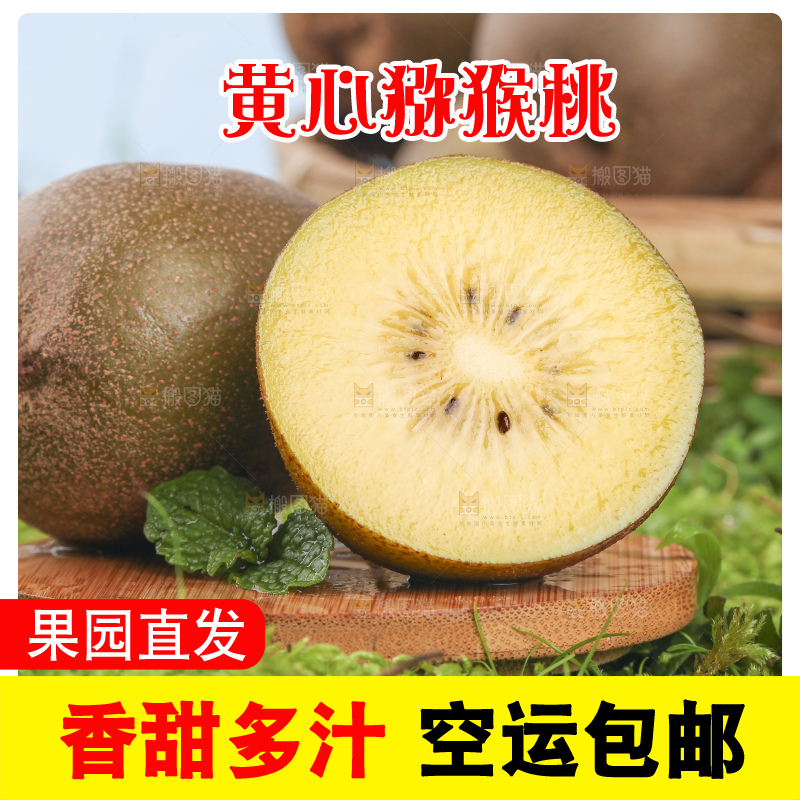 草地上的黄心猕猴桃