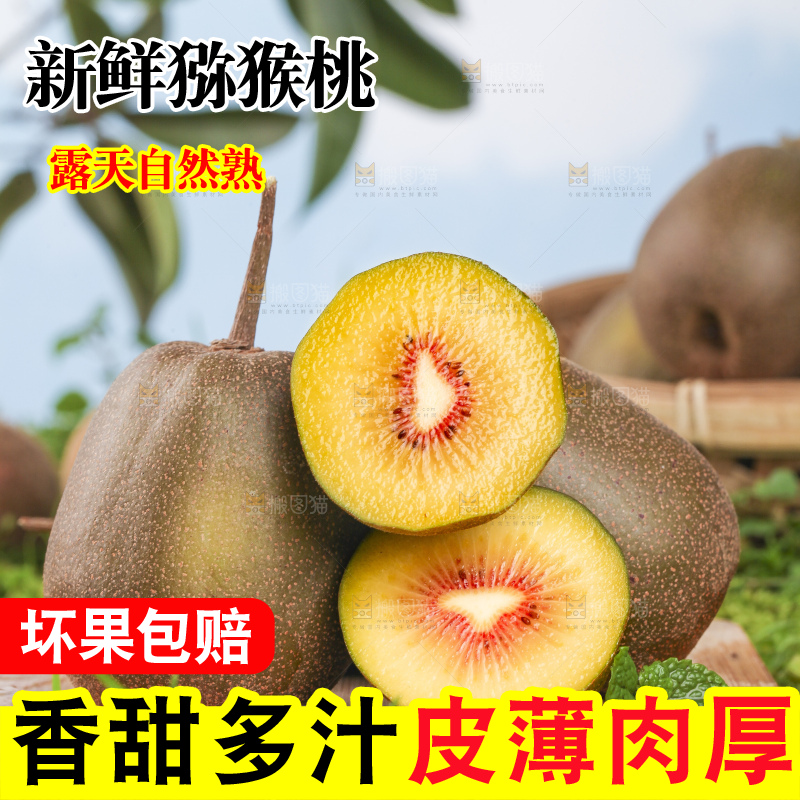 草地上的红心猕猴桃