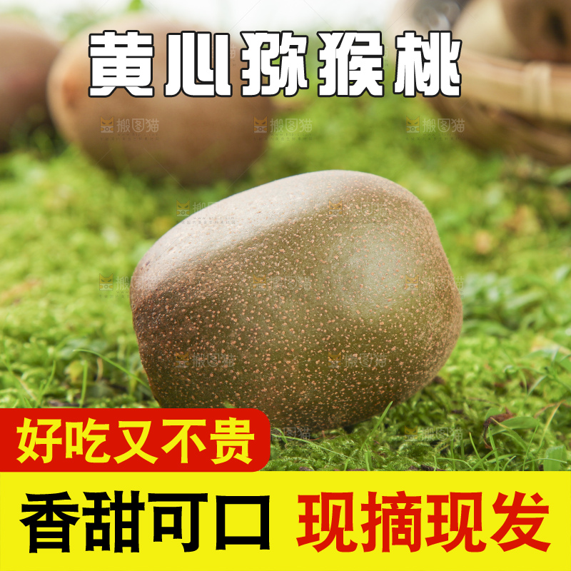 草地上的黄心猕猴桃