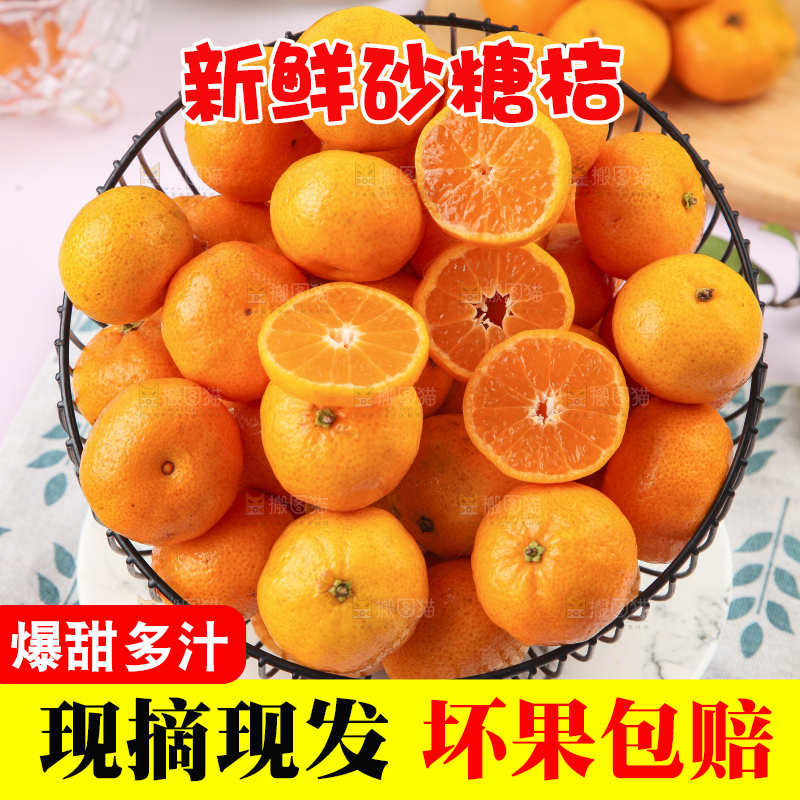 浅底上的沙糖桔