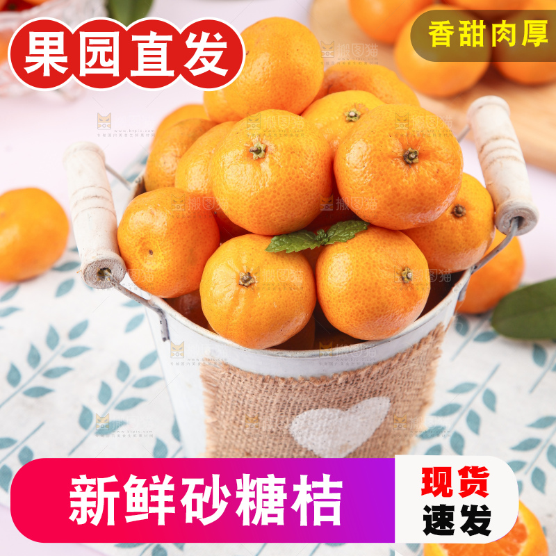 浅底上的沙糖桔