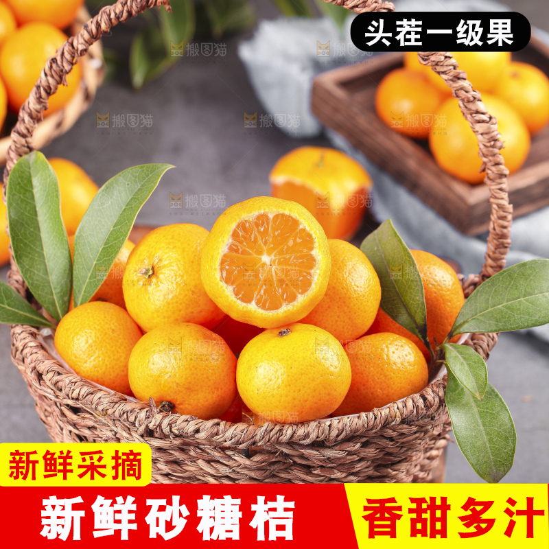 砂糖桔主图