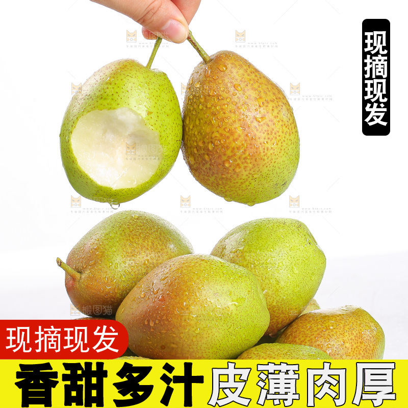 白底上的红香酥梨