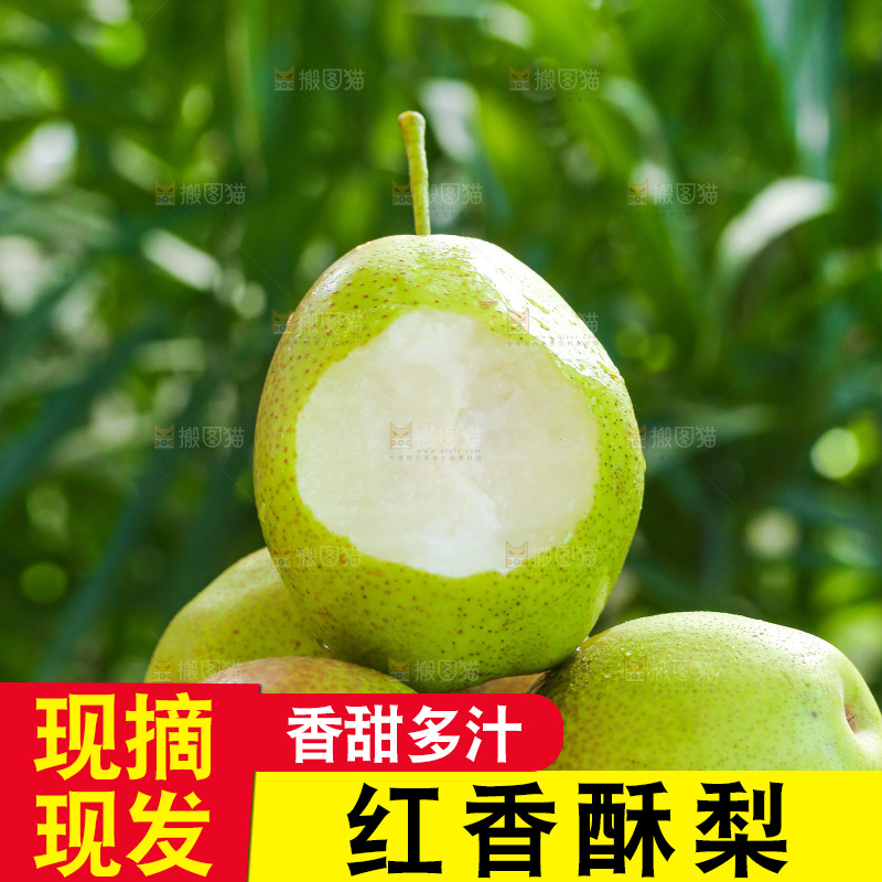 手里拿着红香酥梨