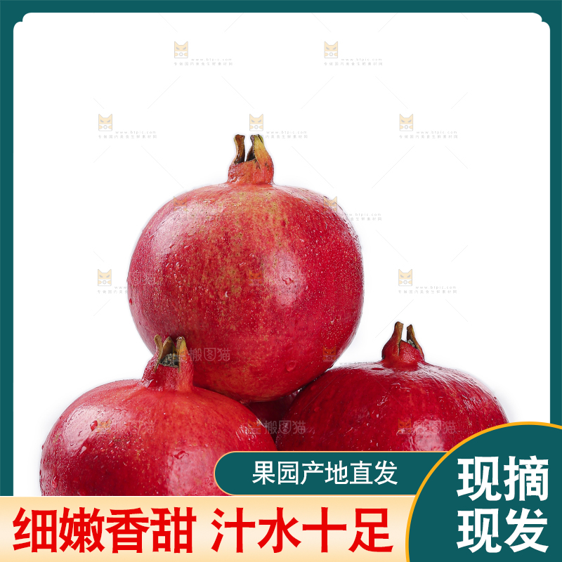 白底上的黑籽石榴