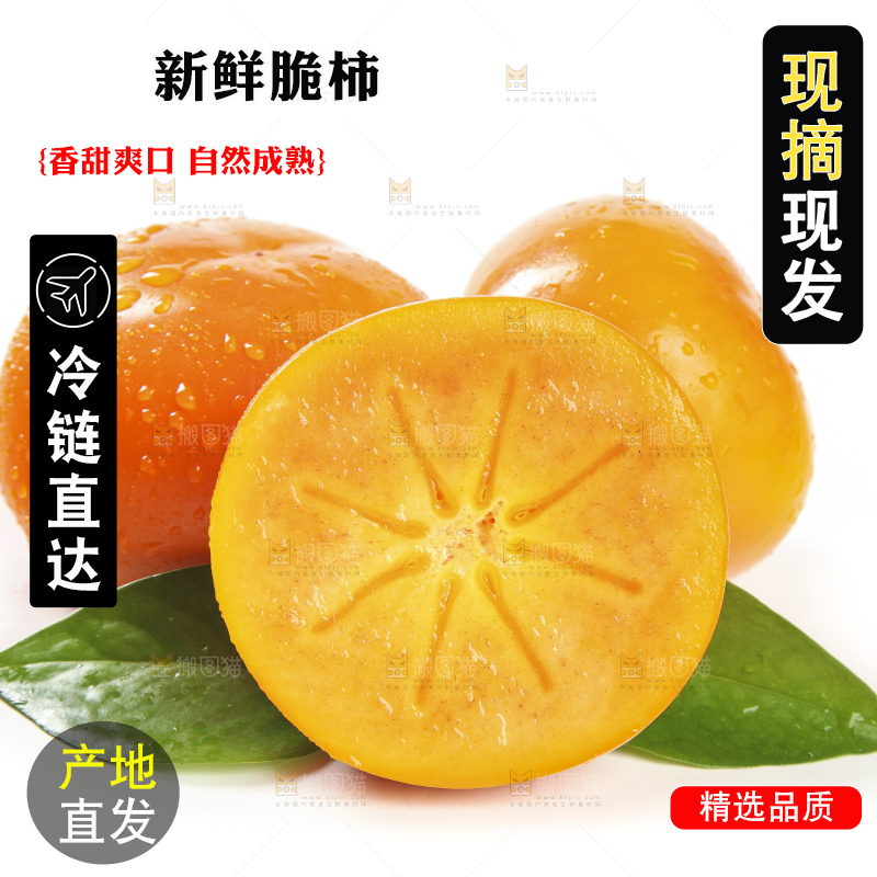 白底上的脆柿