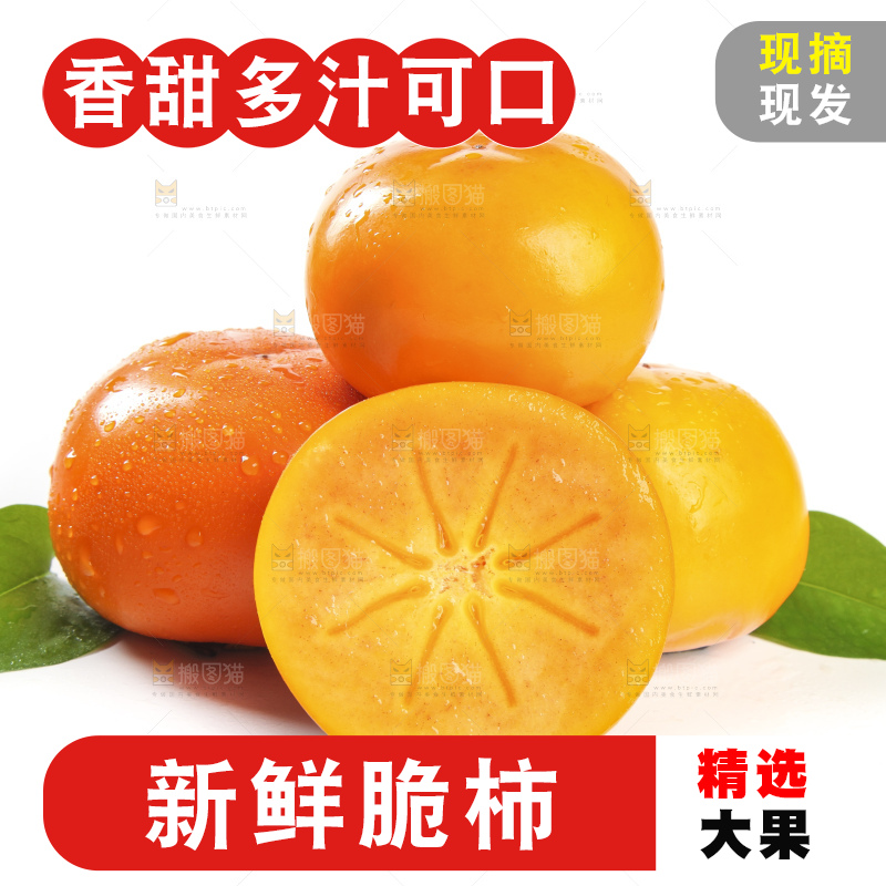 白底上的脆柿