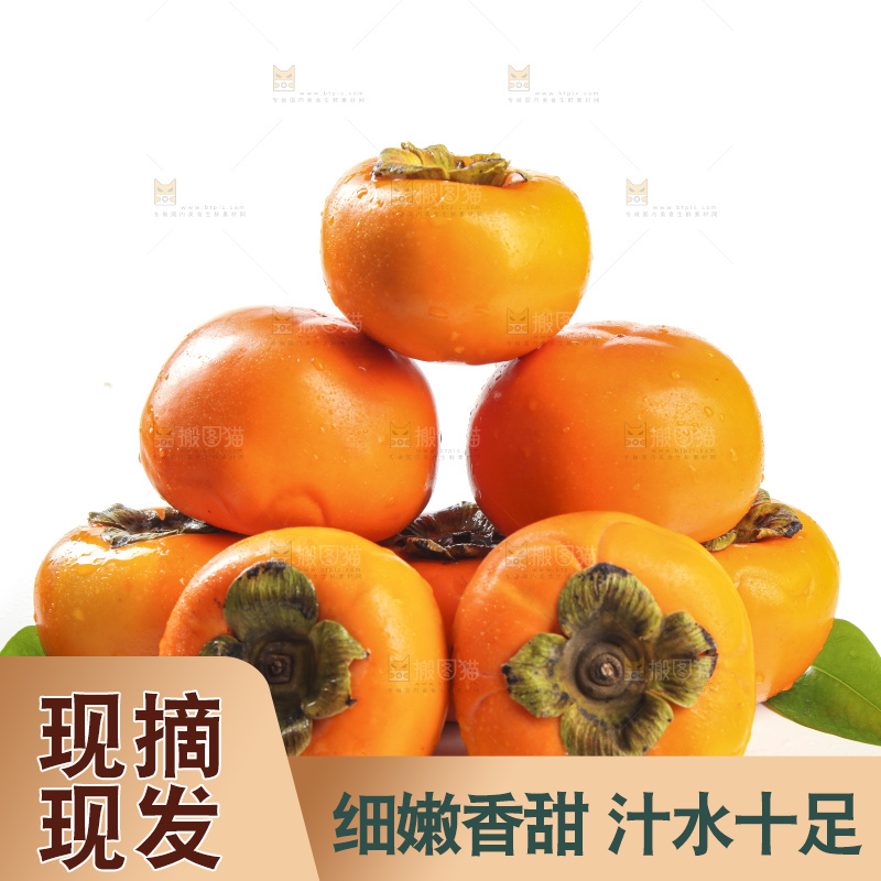 白底上的脆柿