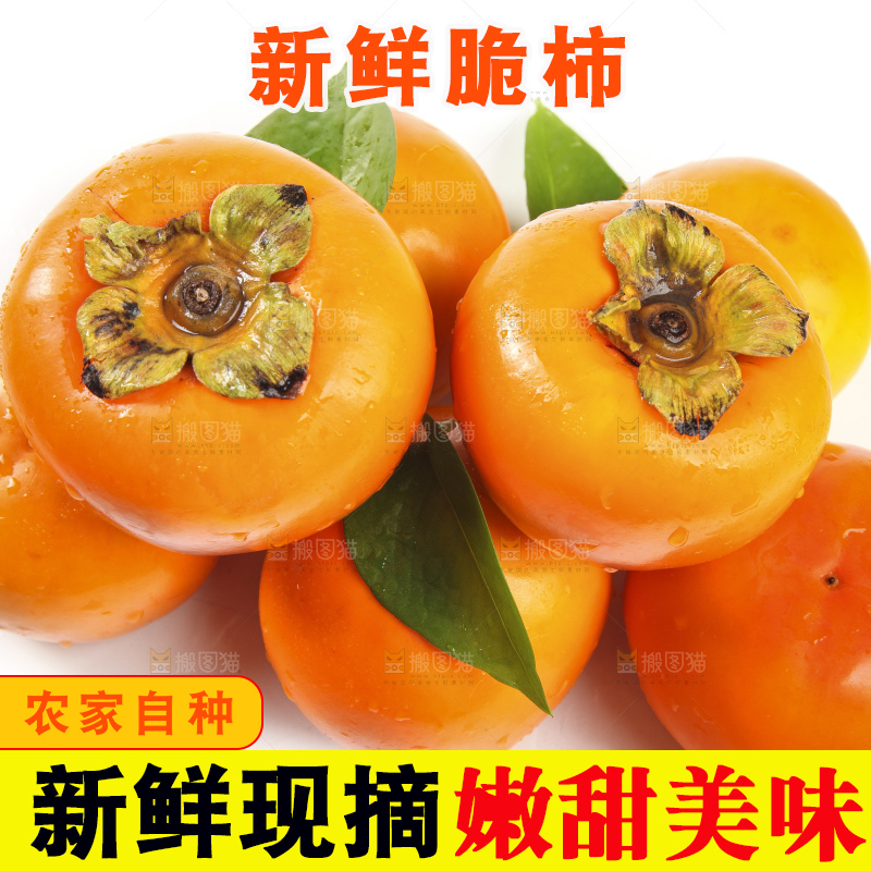 白底上的脆柿