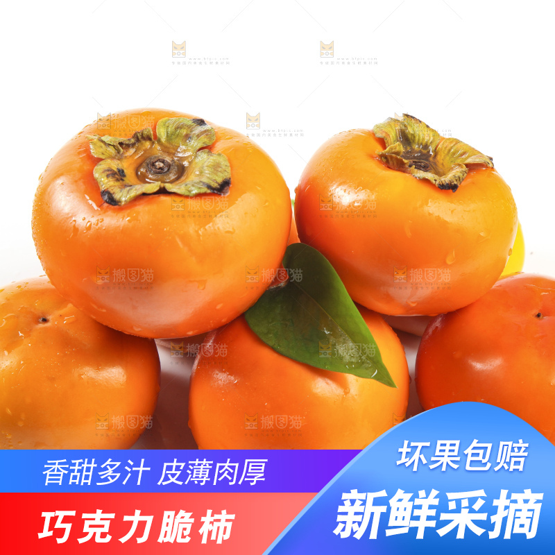 白底上的脆柿