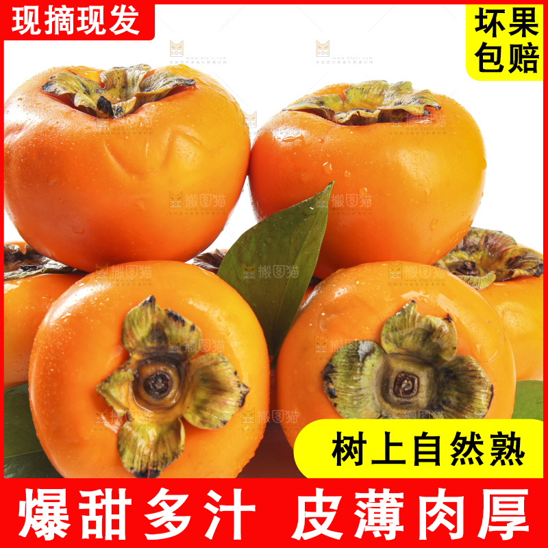 白底上的脆柿