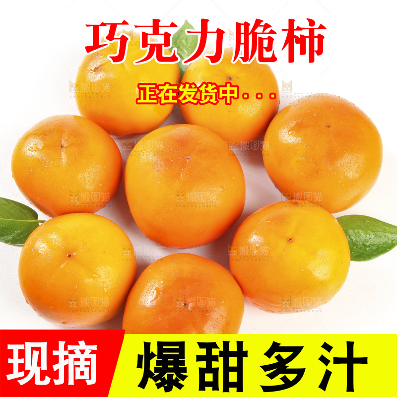 白底上的脆柿