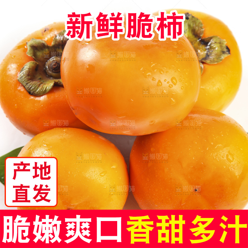 白底上的脆柿