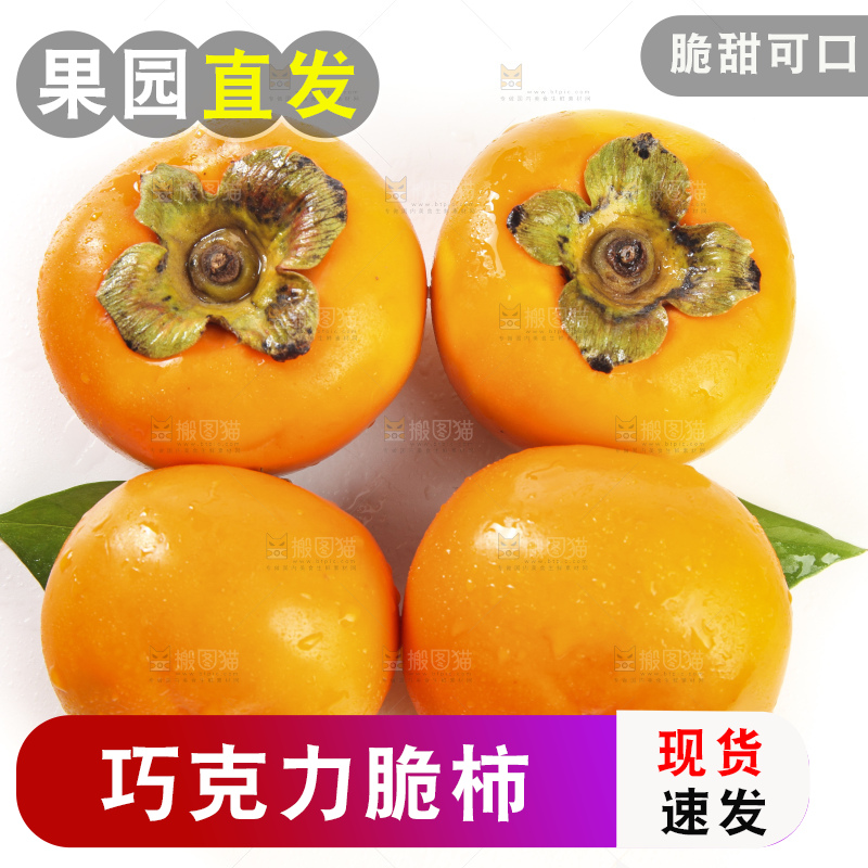 白底上的脆柿