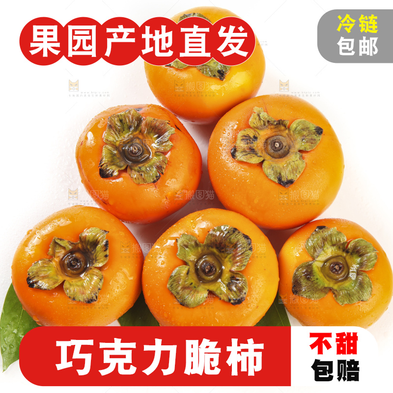 白底上的脆柿
