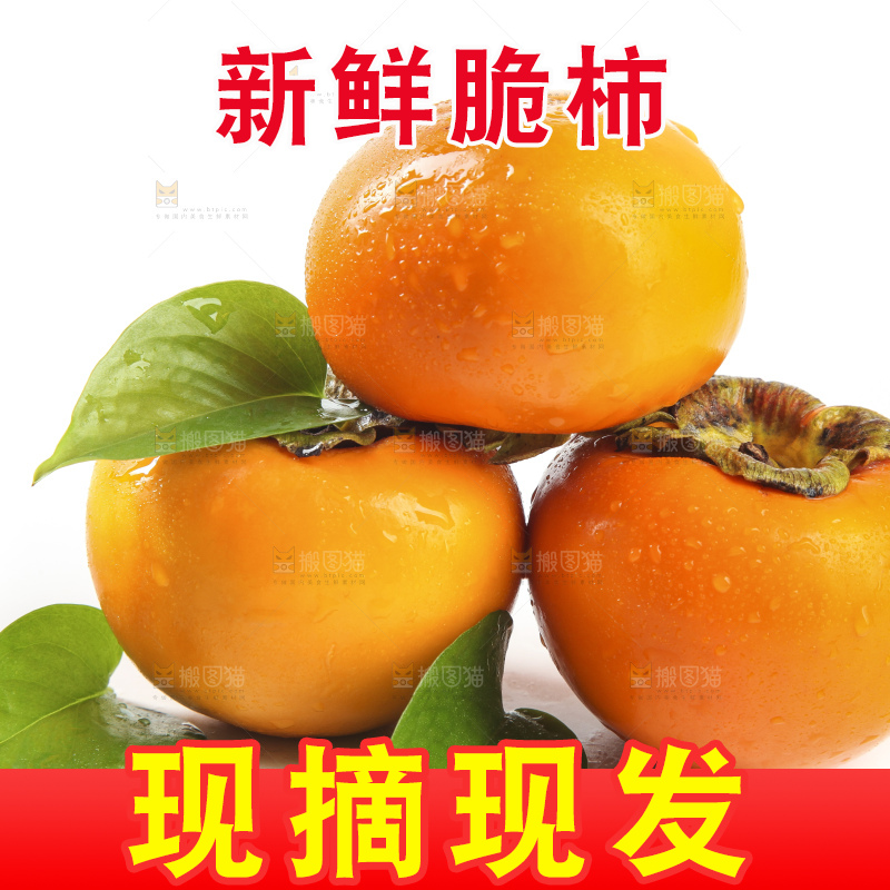 白底上的脆柿