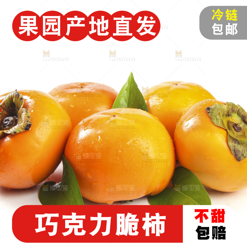 白底上的脆柿