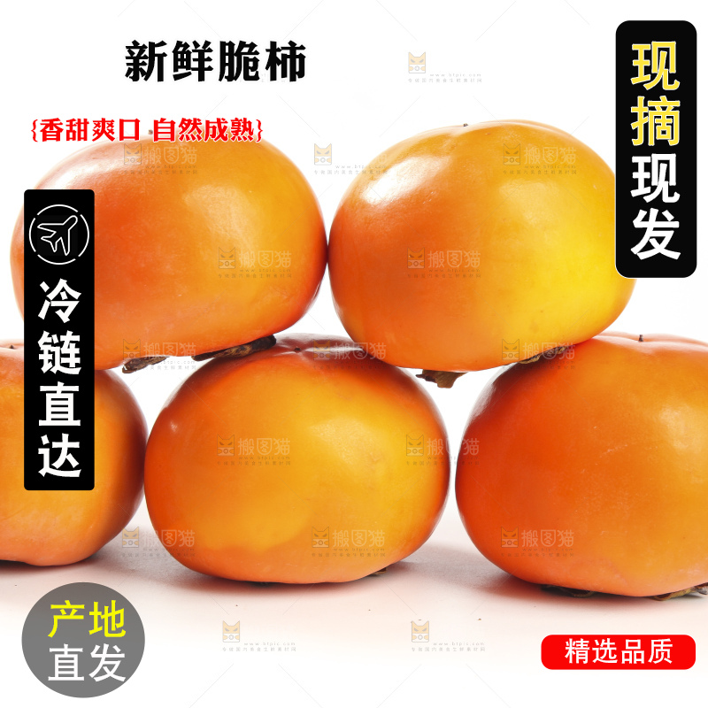 白底上的脆柿