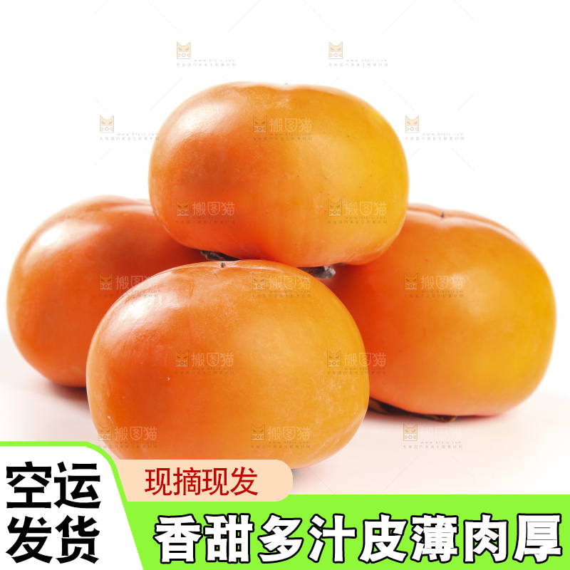 白底上的脆柿
