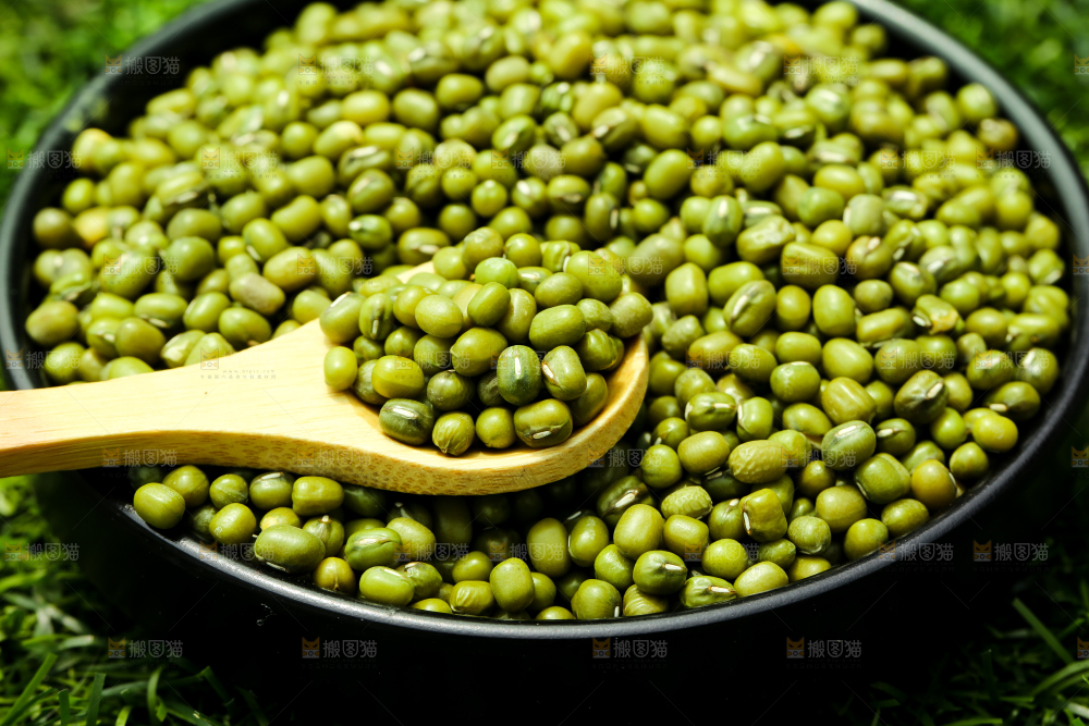 草地上的绿豆